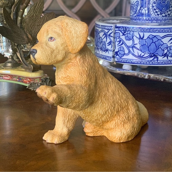 Lenox Yellow Labrador Retriever - Picture 4 of 14